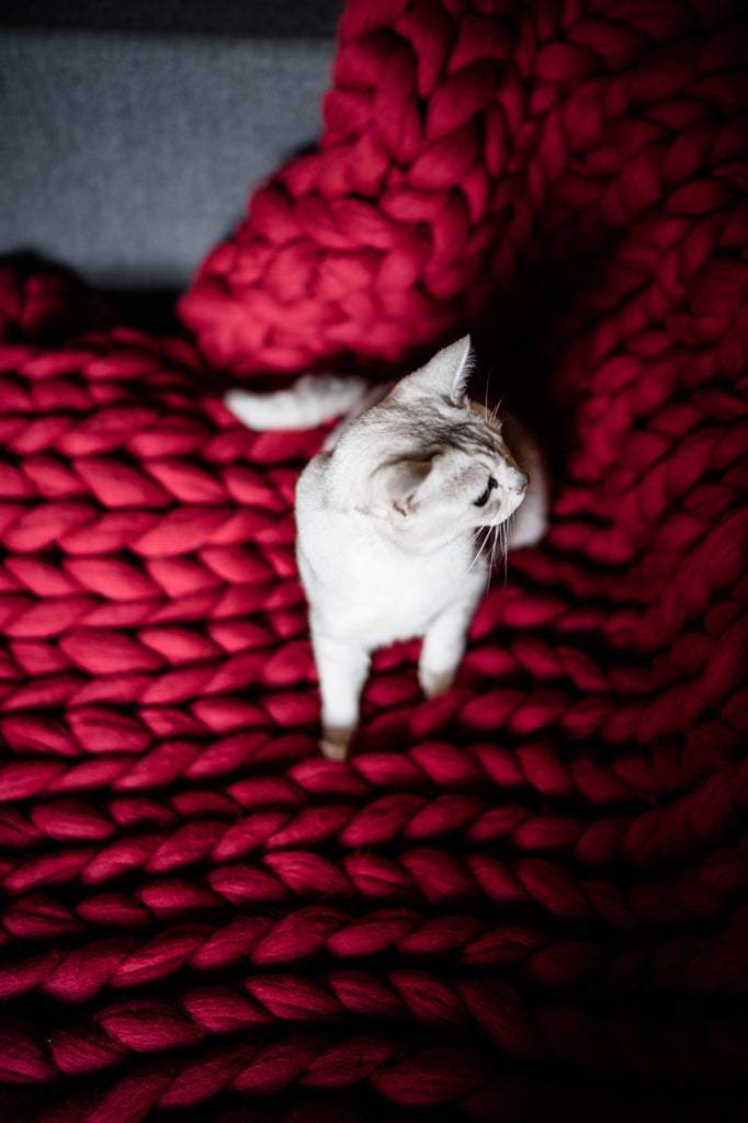 Merino Blanket Merino Wool Chunky Knit Throw Blanket Red 60x245